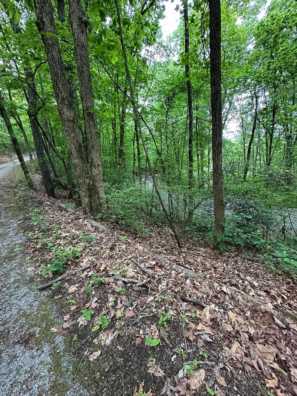 0.13 Acres of Land for Sale in Chattanooga, Tennessee