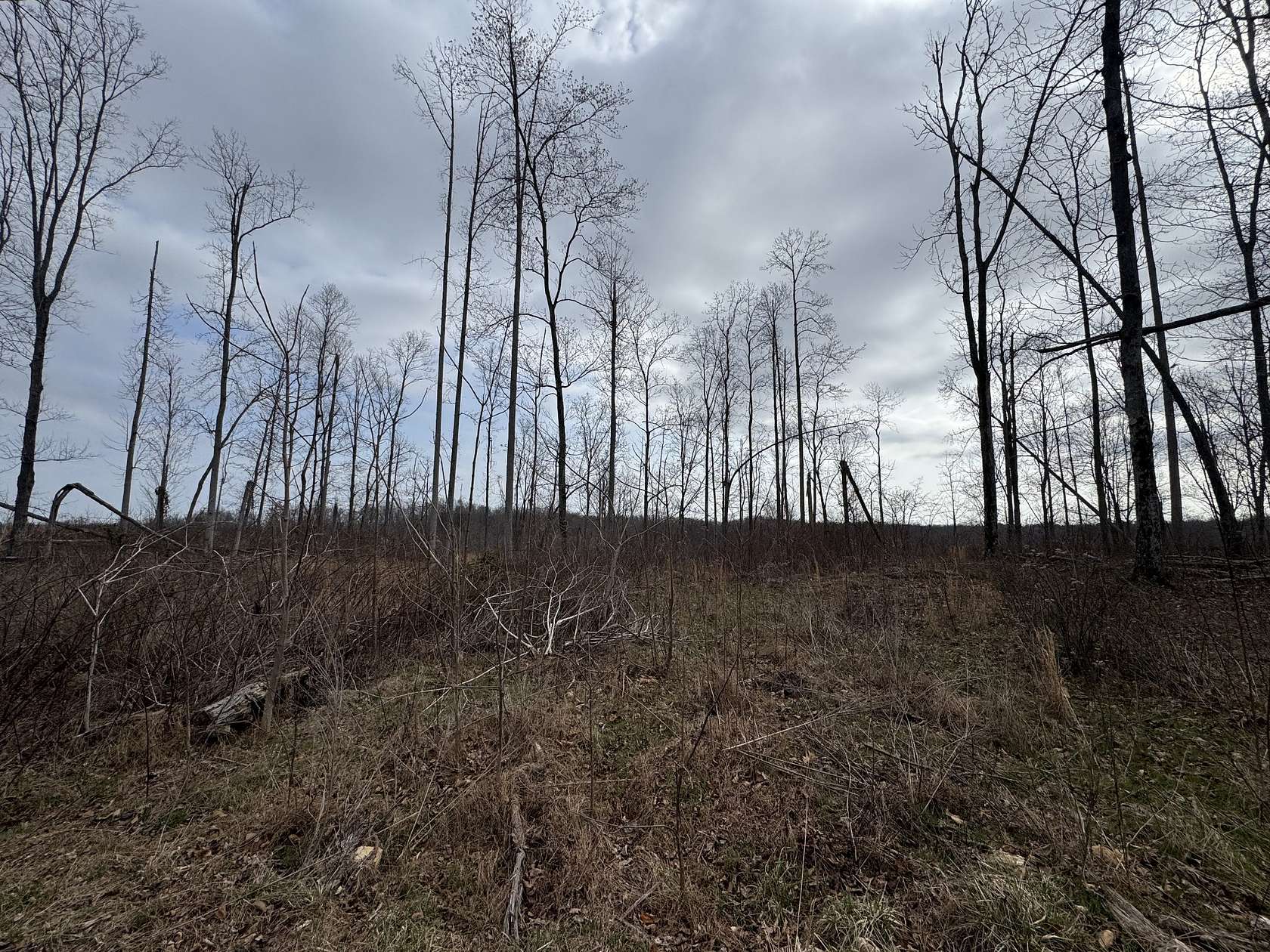 3.4 Acres of Residential Land for Sale in Smithville, Tennessee