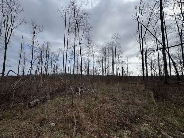 3.4 Acres of Residential Land for Sale in Smithville, Tennessee