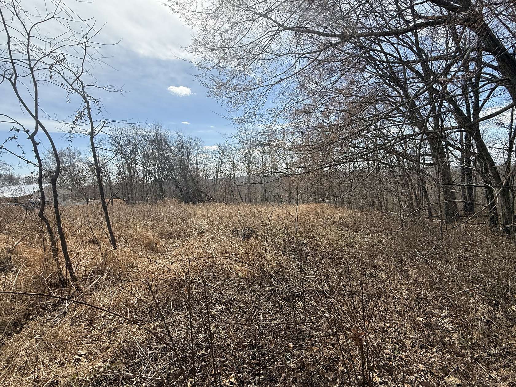 11.5 Acres of Land for Sale in Southside, Tennessee