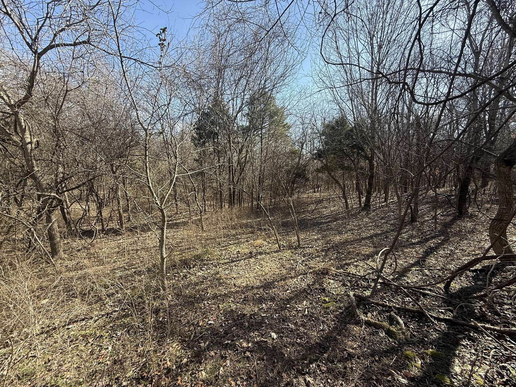 15.1 Acres of Land for Sale in Southside, Tennessee