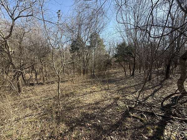 15.1 Acres of Land for Sale in Southside, Tennessee