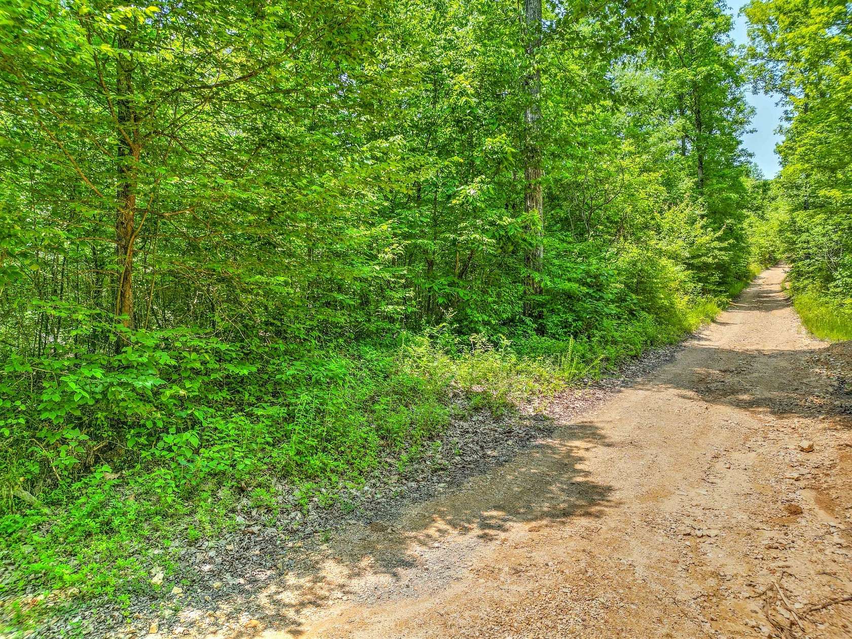 17.2 Acres of Recreational Land & Farm for Sale in Hampshire, Tennessee