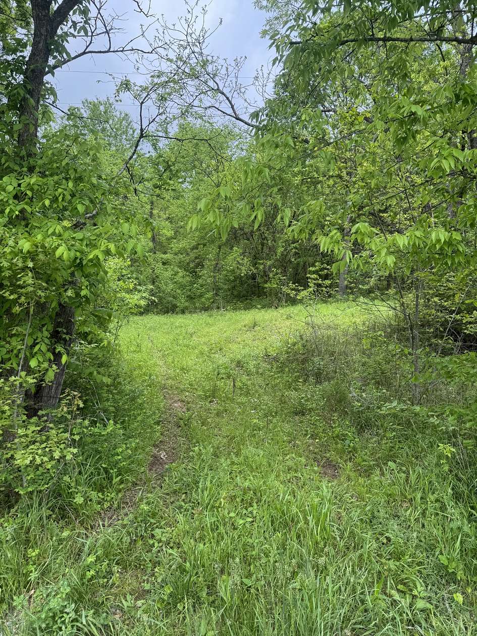 28.4 Acres of Recreational Land & Farm for Sale in Manchester, Tennessee