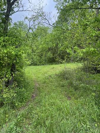 28.4 Acres of Recreational Land & Farm for Sale in Manchester, Tennessee