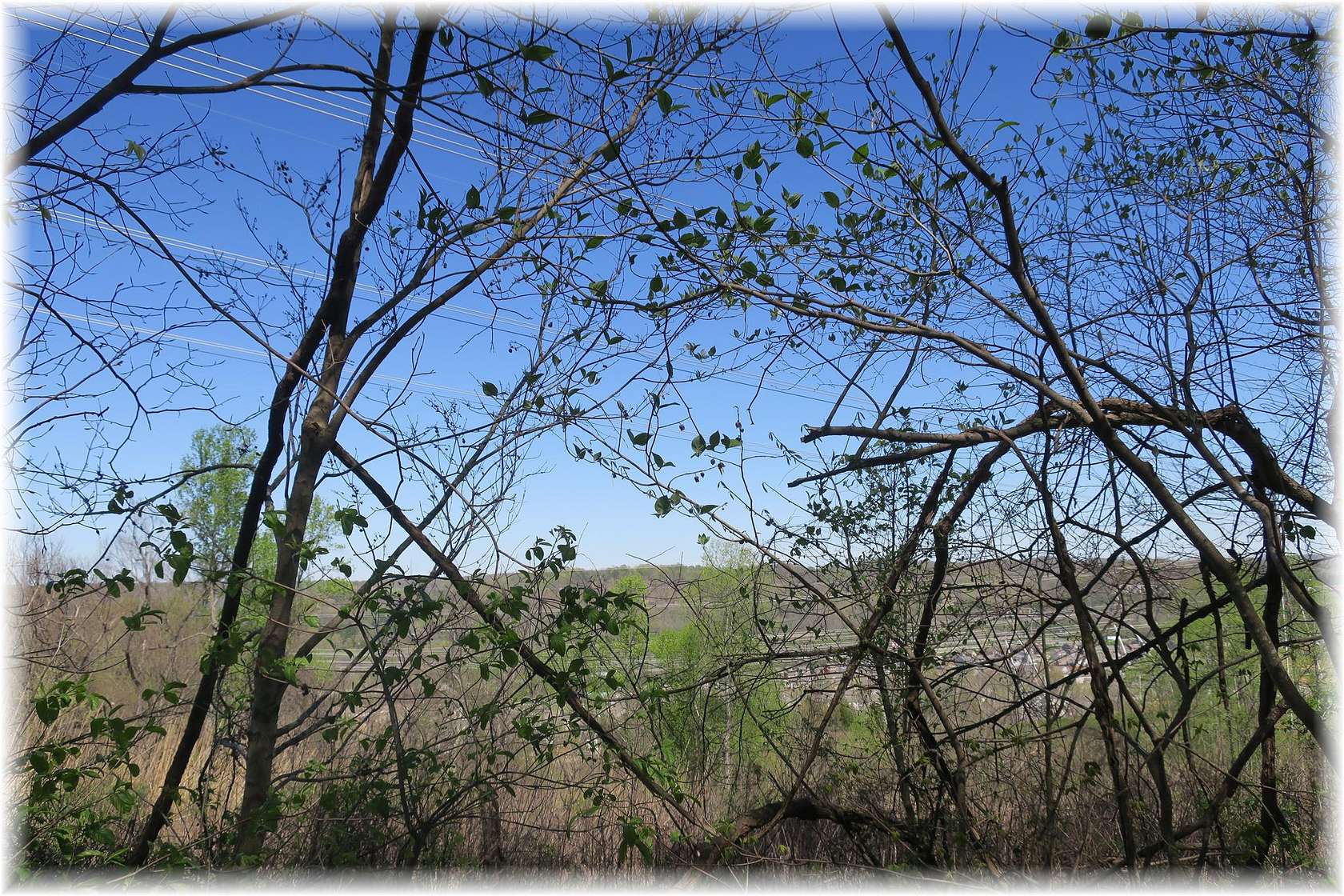 49.6 Acres of Land for Sale in Nashville, Tennessee