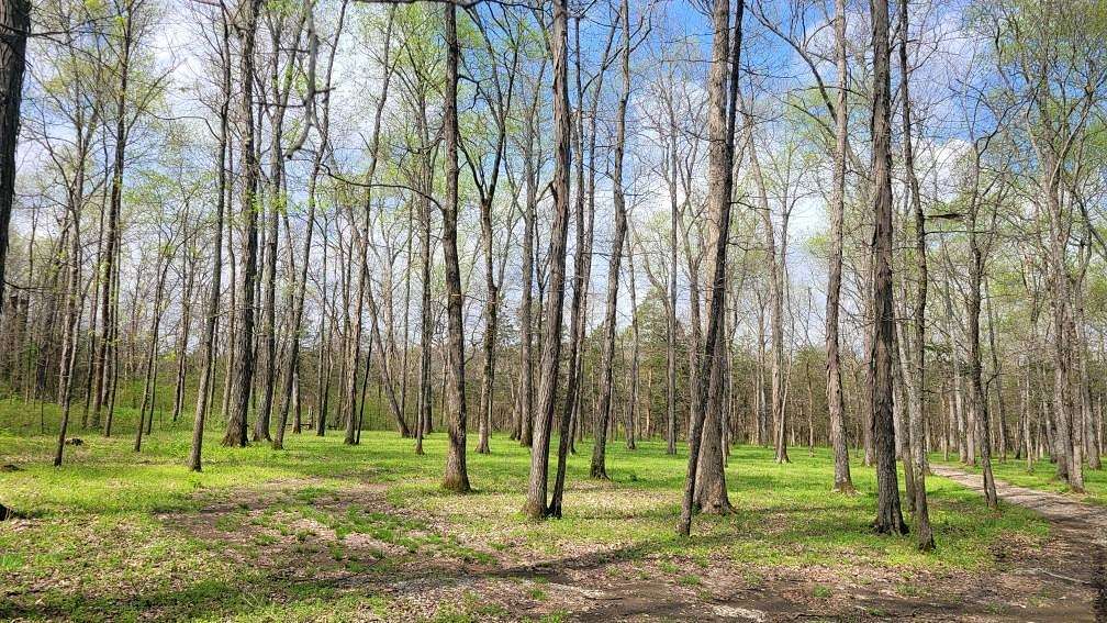 20 Acres of Agricultural Land for Sale in Shelbyville, Tennessee