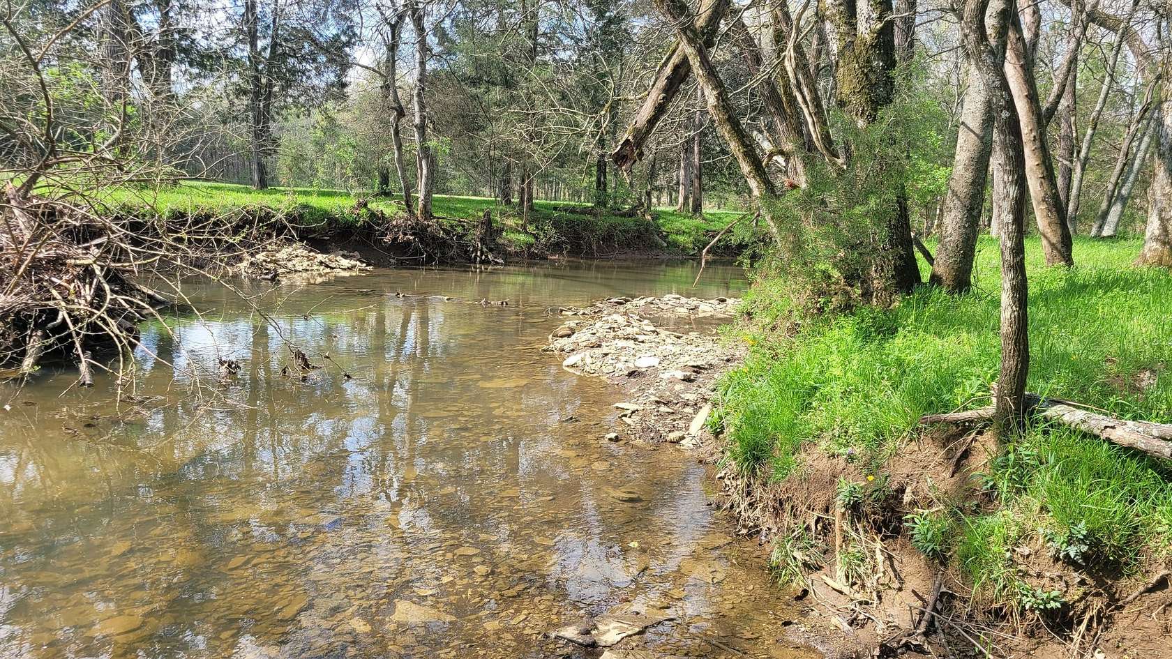 25.8 Acres of Agricultural Land for Sale in Shelbyville, Tennessee