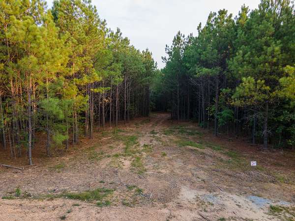 38 Acres of Recreational Land for Sale in Hohenwald, Tennessee