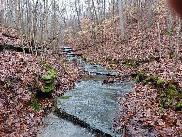 40.2 Acres of Recreational Land for Sale in Fairview, Tennessee