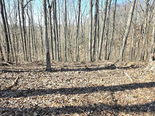 3.6 Acres of Residential Land for Sale in Dowelltown, Tennessee