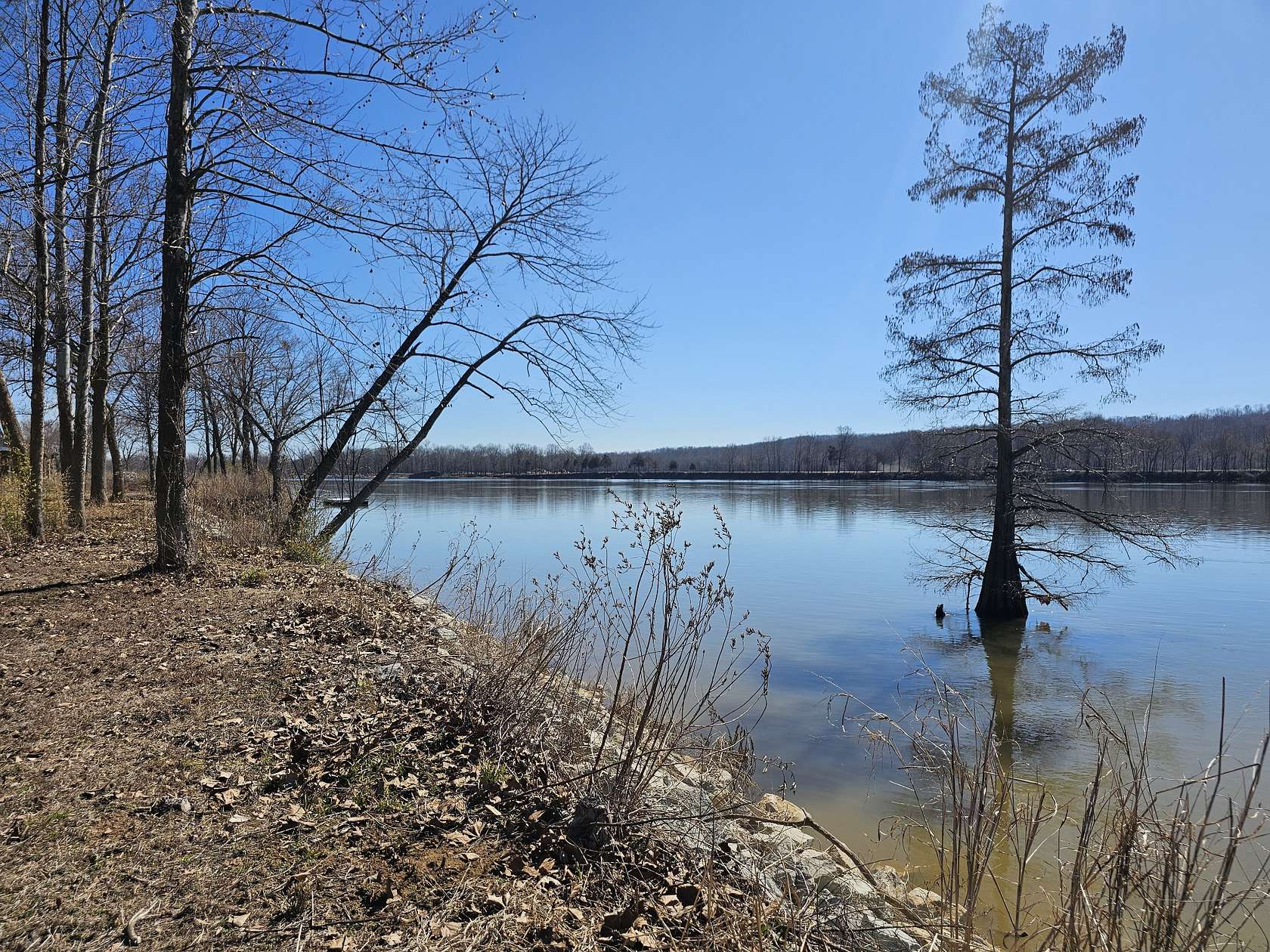 0.63 Acres of Residential Land for Sale in Clifton, Tennessee