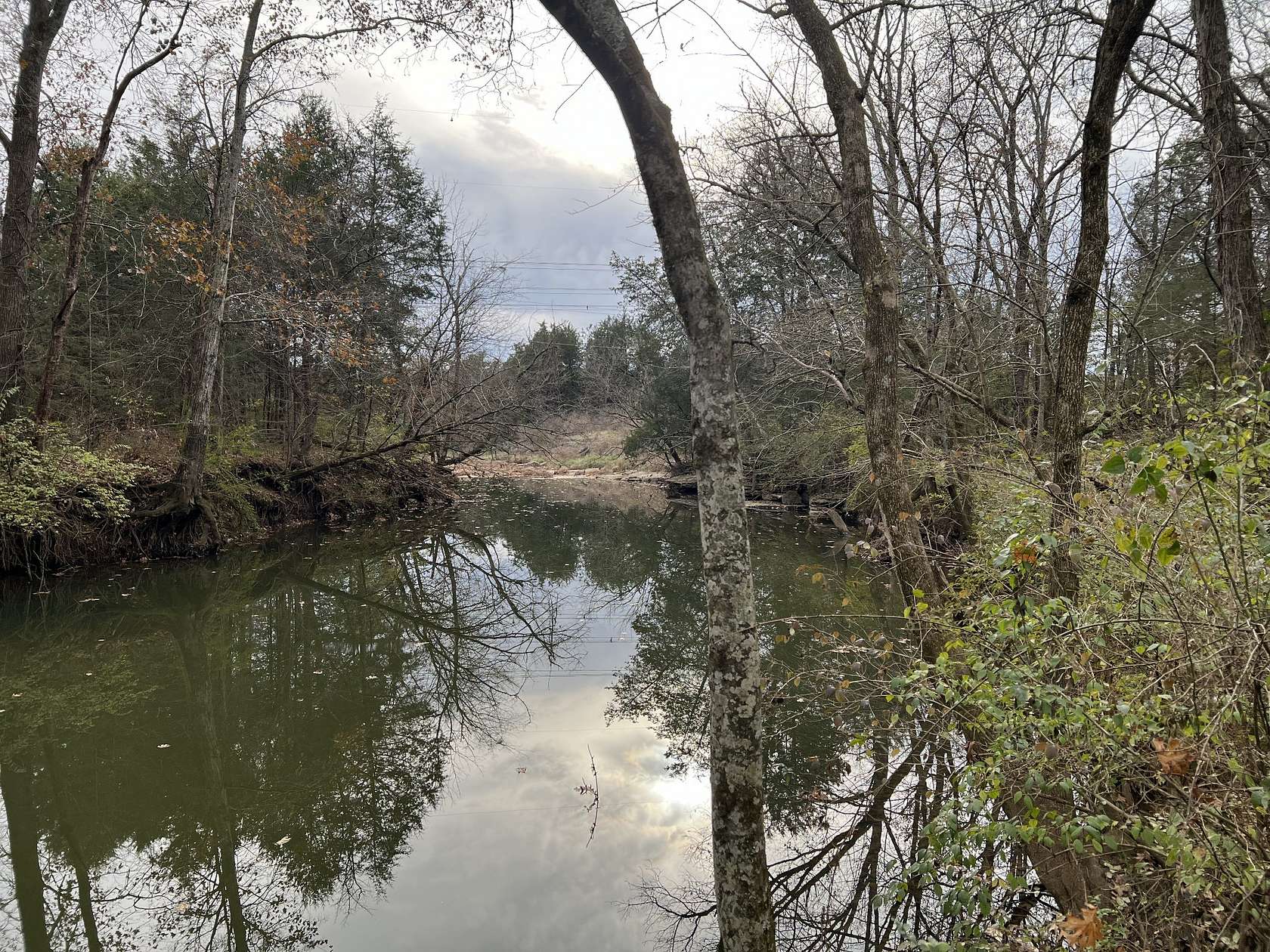 84.8 Acres of Land for Sale in Chapel Hill, Tennessee