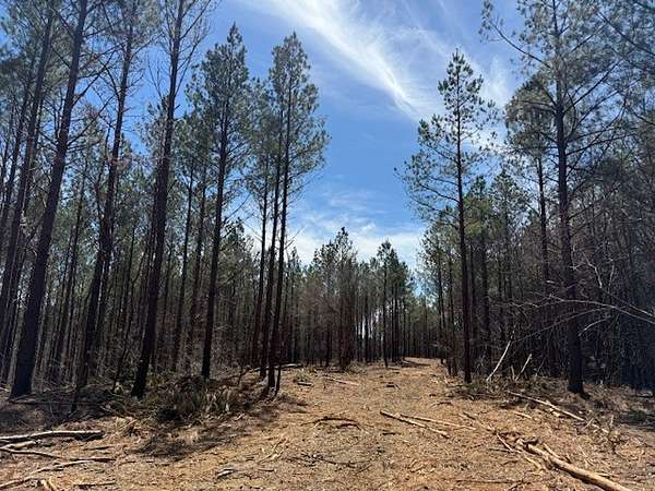 7.5 Acres of Land for Sale in Waynesboro, Tennessee