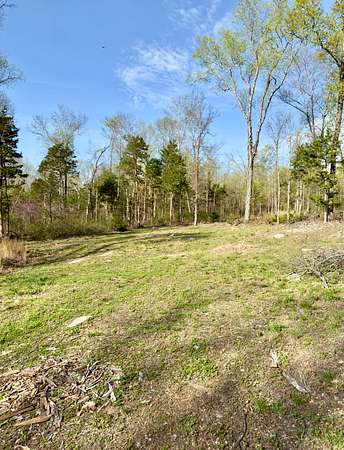 5 Acres of Residential Land for Sale in Belvidere, Tennessee