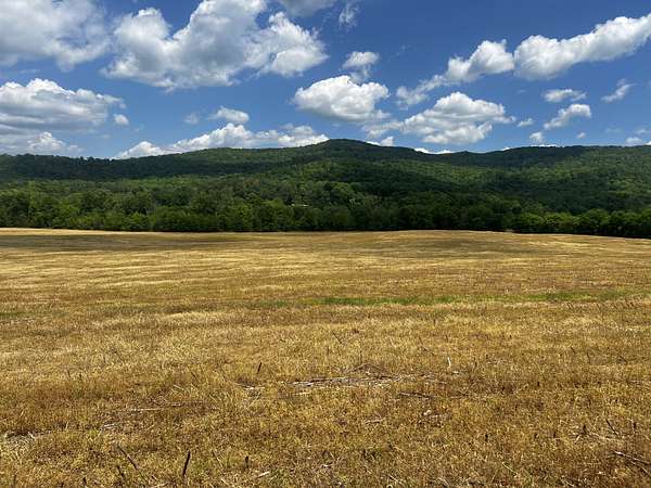 15.5 Acres of Land for Sale in Spencer, Tennessee
