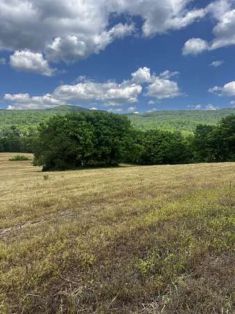 16 Acres of Land for Sale in Spencer, Tennessee