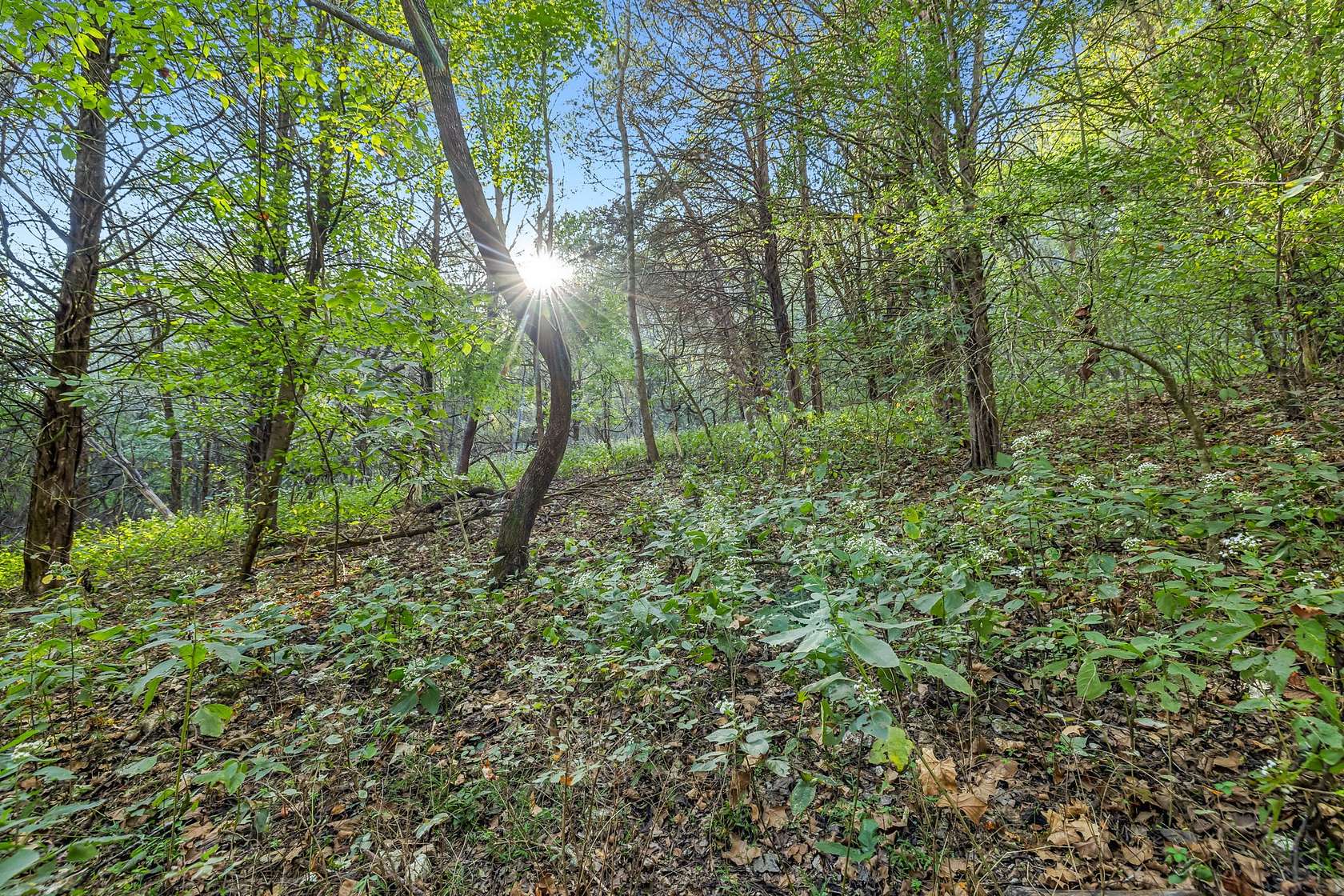 93 Acres of Recreational Land for Sale in Fayetteville, Tennessee