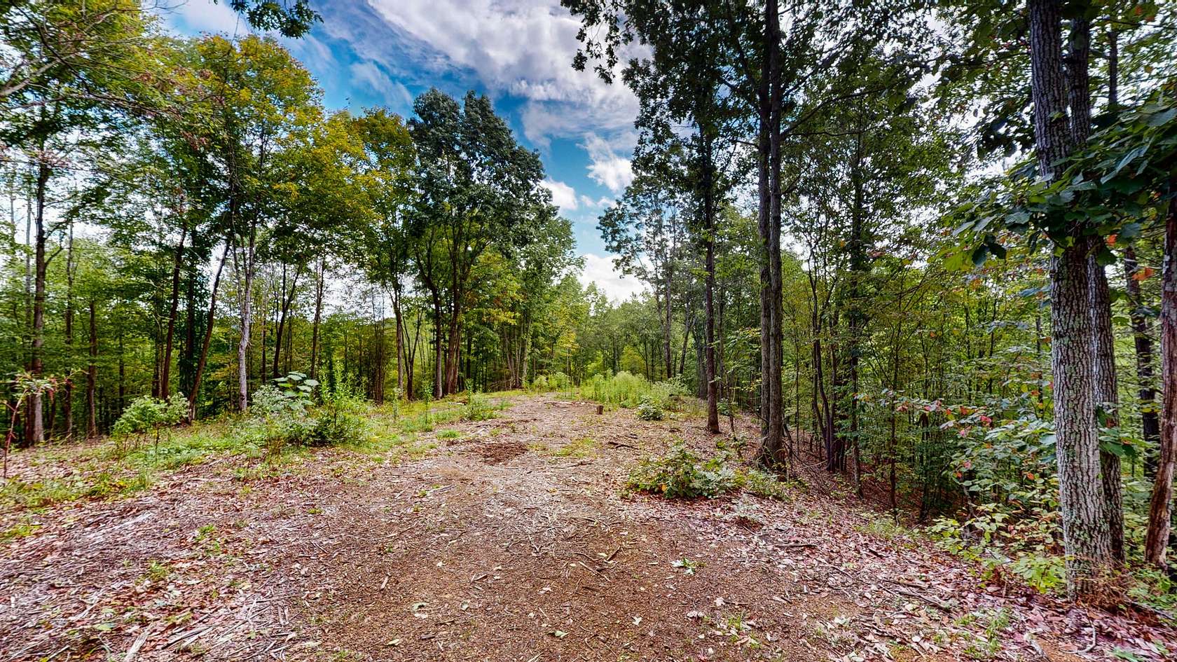 8 Acres of Residential Land for Sale in Linden, Tennessee