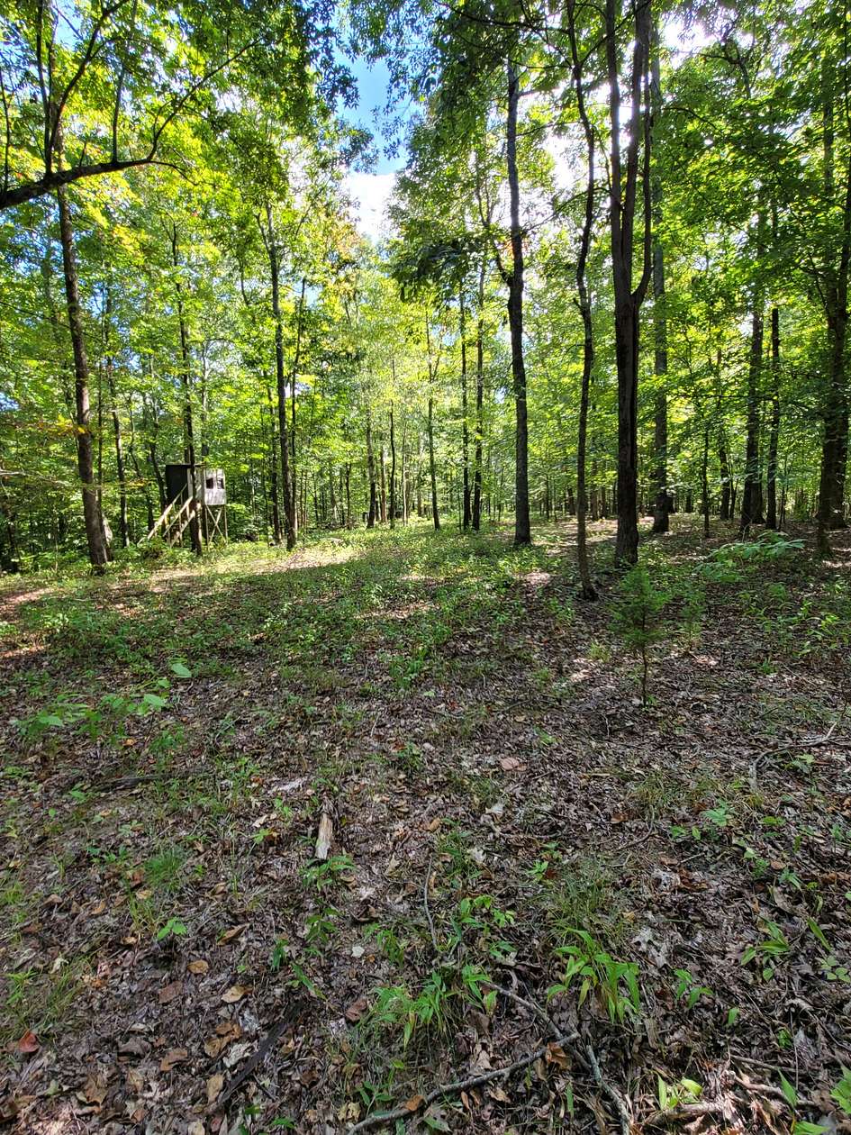 23.9 Acres of Recreational Land for Sale in Kelso, Tennessee