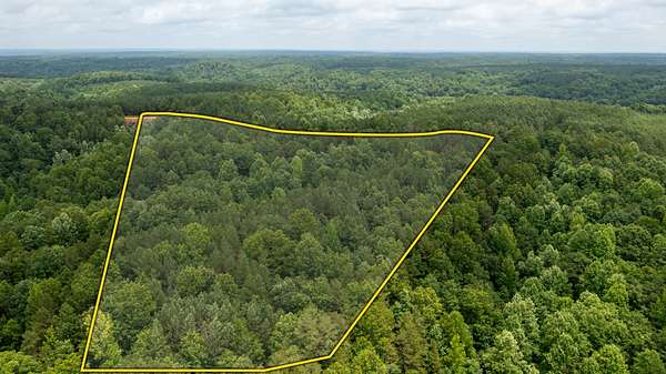 22 Acres of Recreational Land for Sale in Shady Grove, Tennessee