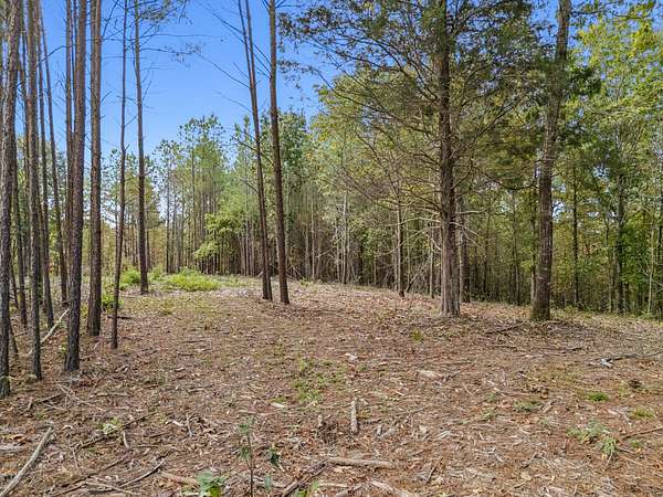 9 Acres of Residential Land for Sale in Shady Grove, Tennessee