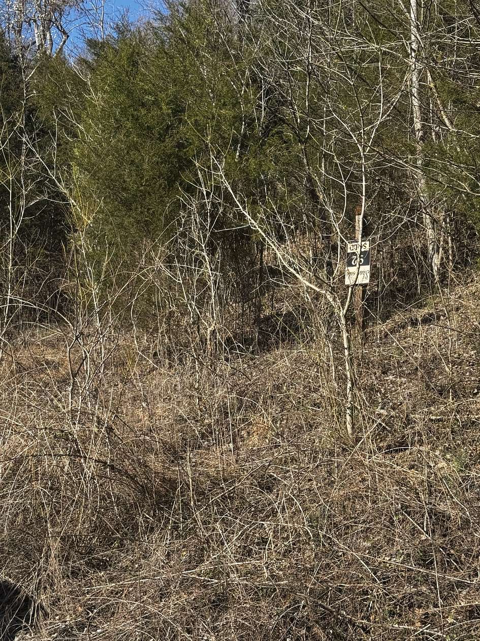 0.6 Acres of Residential Land for Sale in Smithville, Tennessee