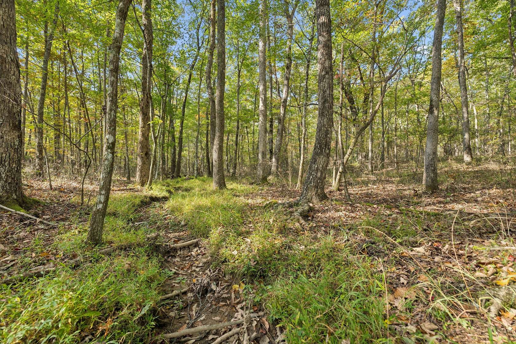 12.4 Acres of Land for Sale in Monteagle, Tennessee