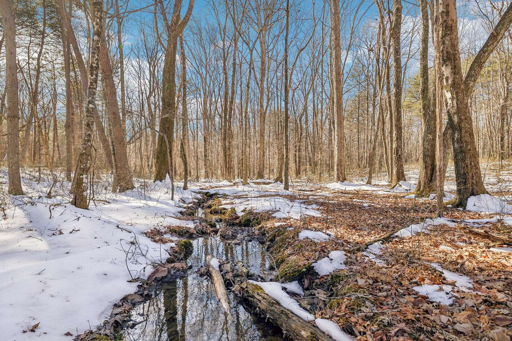 12.4 Acres of Recreational Land for Sale in Monteagle, Tennessee