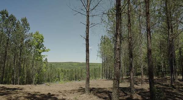 5 Acres of Residential Land for Sale in Soddy-Daisy, Tennessee