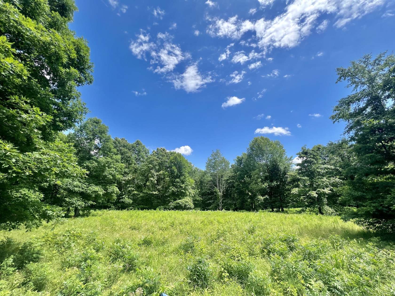 120 Acres of Land for Sale in Summertown, Tennessee