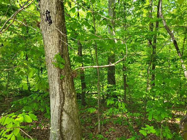 0.78 Acres of Land for Sale in Sugar Tree, Tennessee