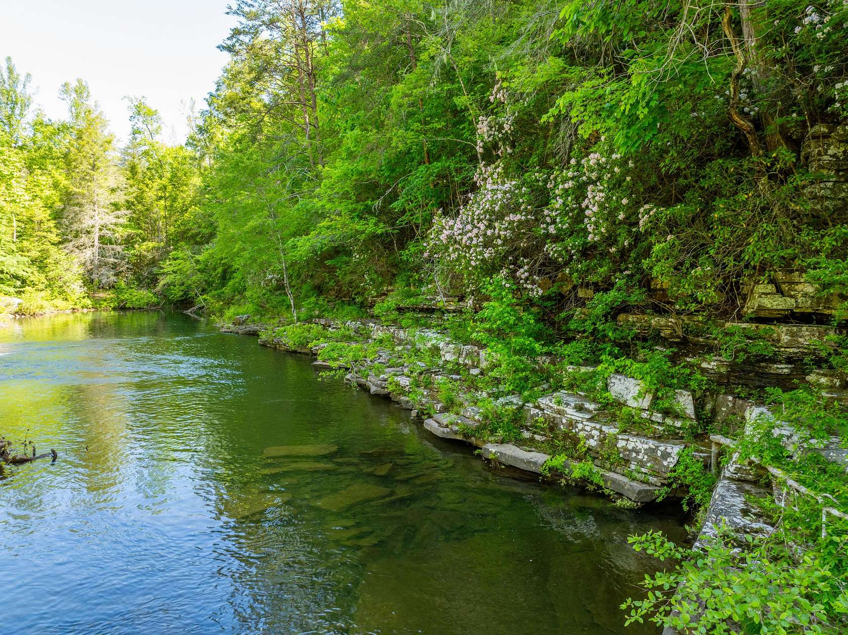 201 Acres of Recreational Land for Sale in Dunlap, Tennessee