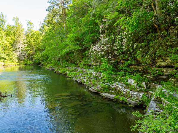 201 Acres of Recreational Land for Sale in Dunlap, Tennessee