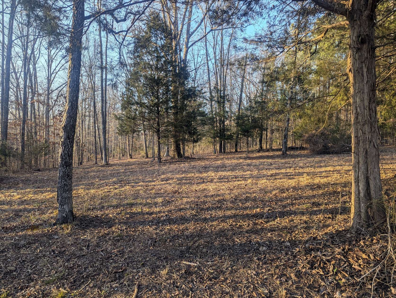 121 Acres of Recreational Land & Farm for Sale in Shady Grove, Tennessee
