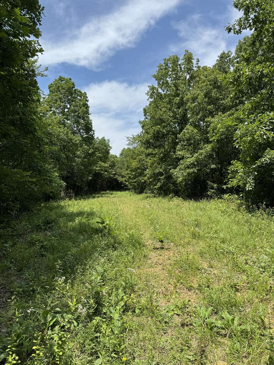 55 Acres of Recreational Land for Sale in Waverly, Tennessee