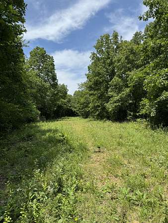55 Acres of Recreational Land for Sale in Waverly, Tennessee