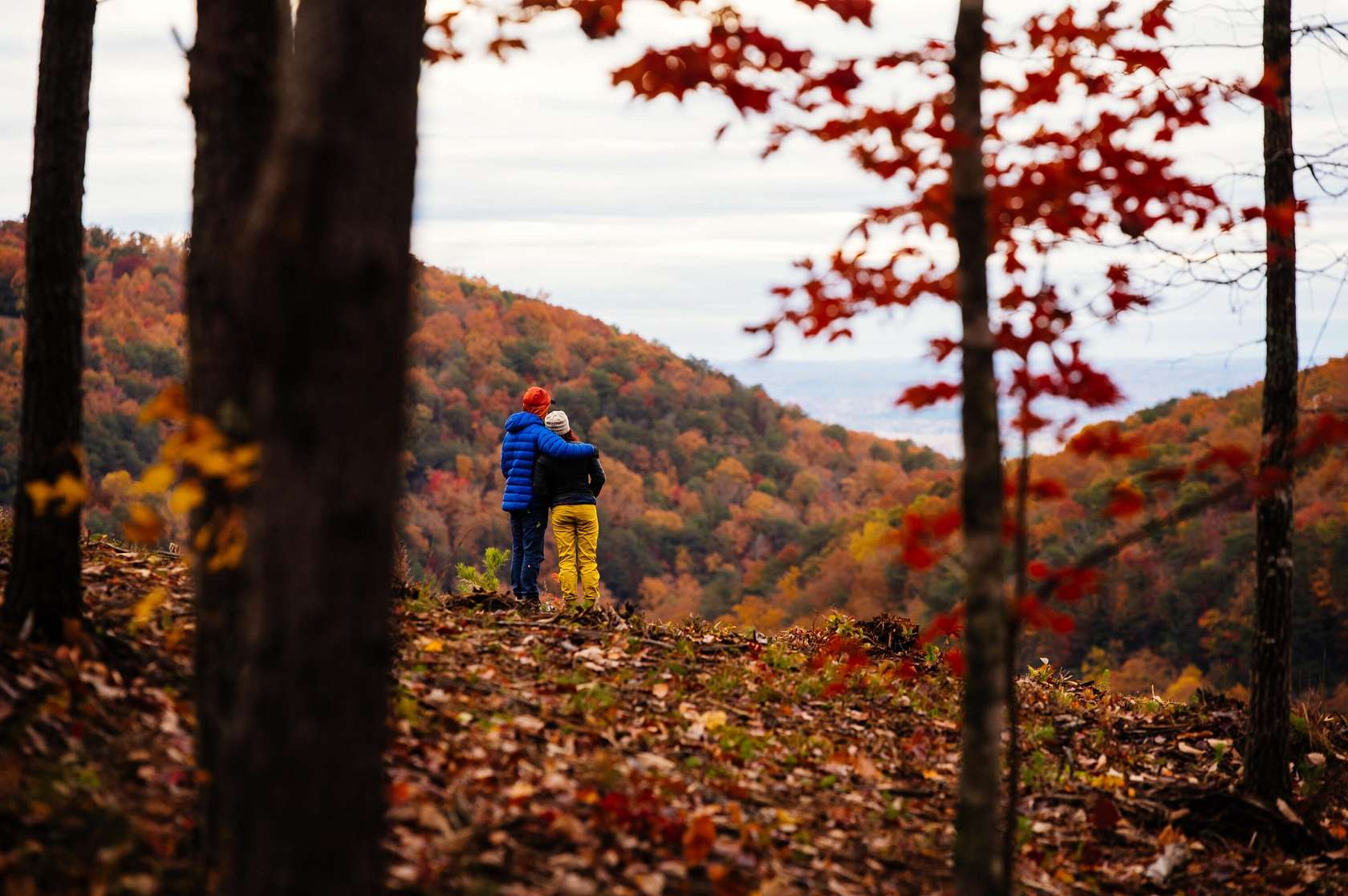 5 Acres of Residential Land for Sale in Soddy-Daisy, Tennessee