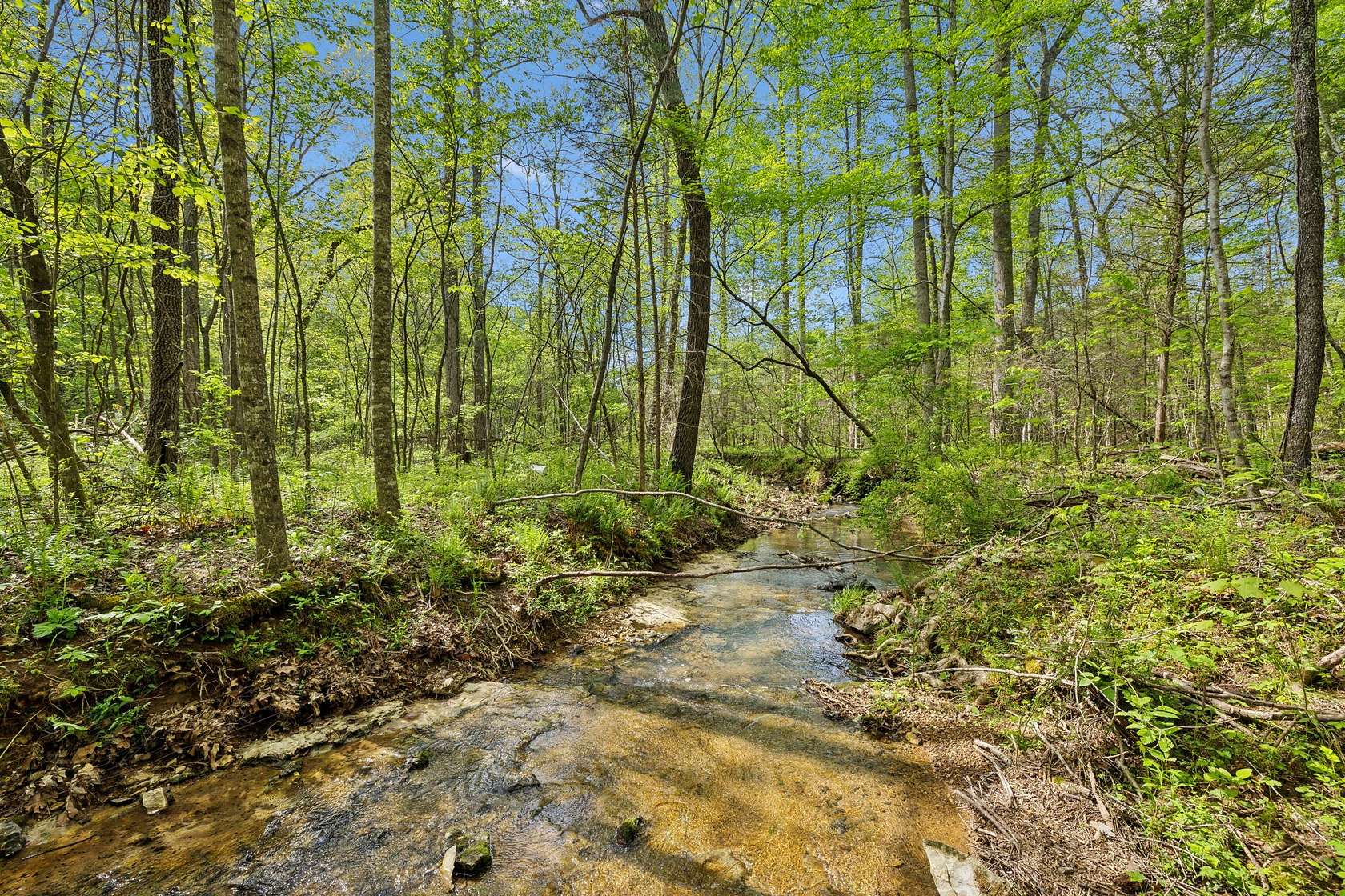 21.8 Acres of Recreational Land & Farm for Sale in Bon Aqua, Tennessee