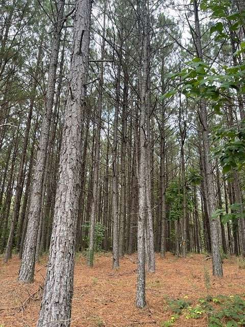 12 Acres of Recreational Land for Sale in Hohenwald, Tennessee