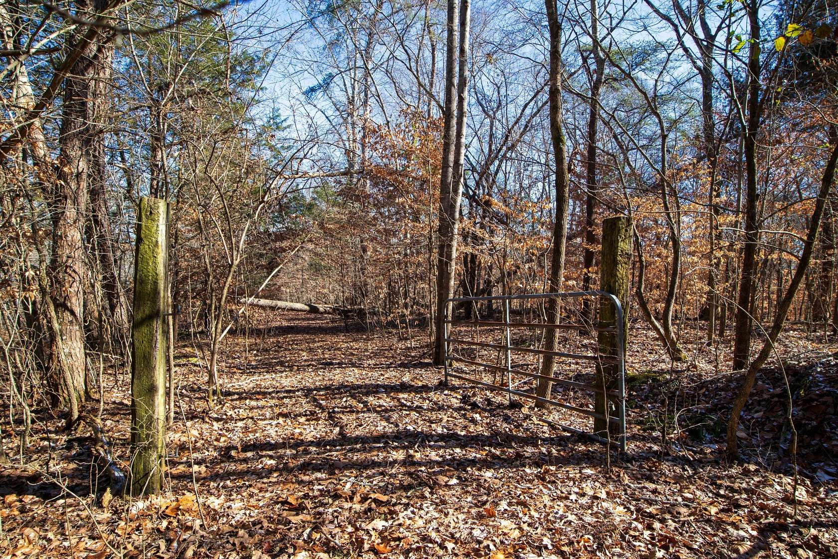 18 Acres of Recreational Land for Sale in Charlotte, Tennessee