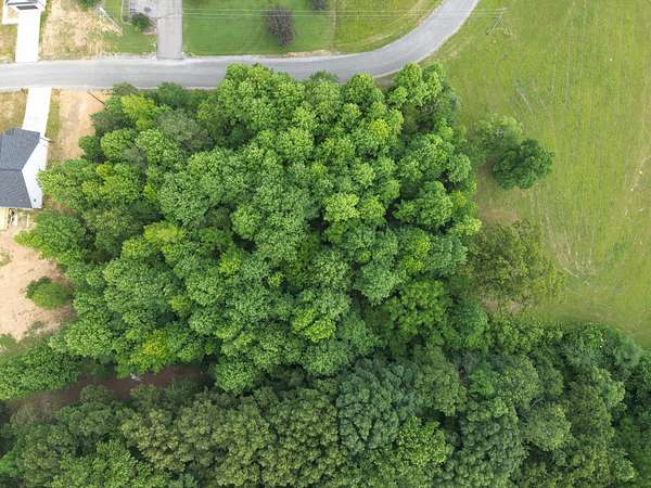 0.59 Acres of Residential Land for Sale in Lawrenceburg, Tennessee