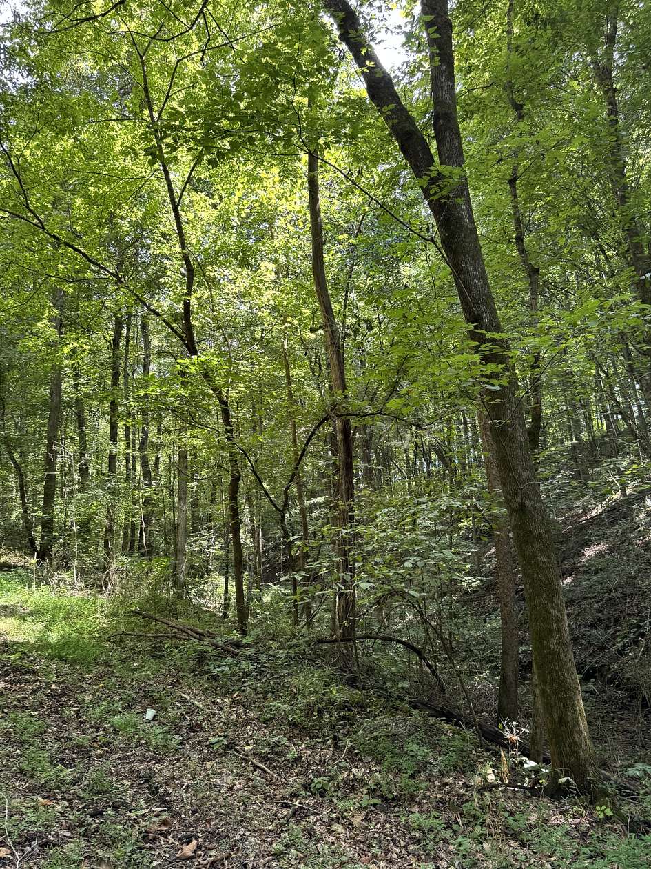 6 Acres of Residential Land for Sale in Greenbrier, Tennessee