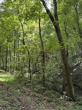 6 Acres of Residential Land for Sale in Greenbrier, Tennessee