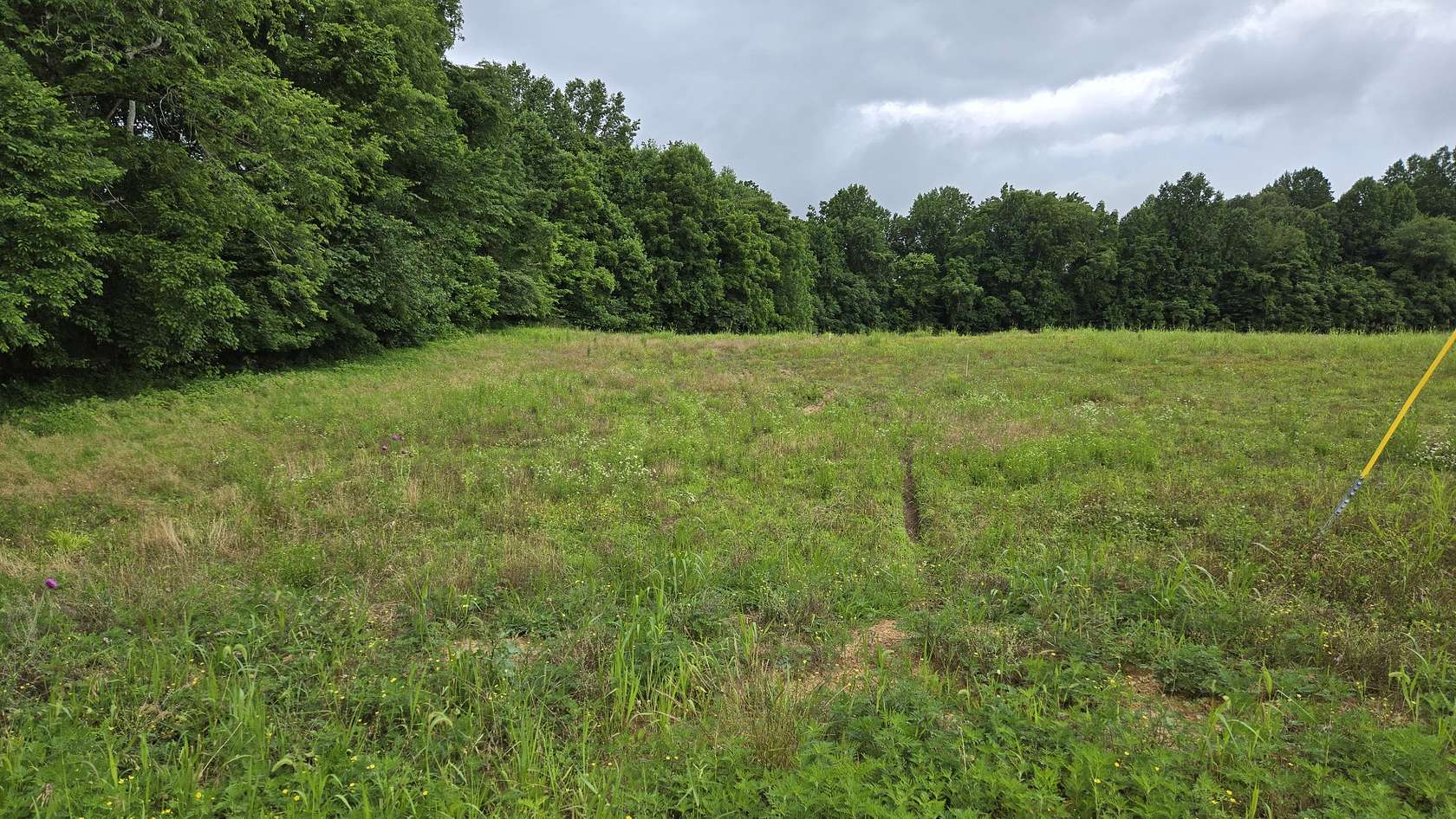 1.46 Acres of Residential Land for Sale in Lafayette, Tennessee