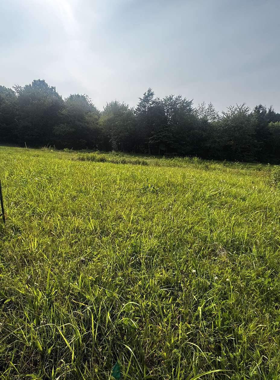 5.25 Acres of Residential Land for Sale in Greenbrier, Tennessee