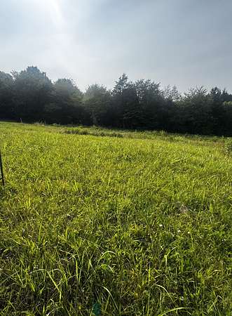 5.25 Acres of Residential Land for Sale in Greenbrier, Tennessee