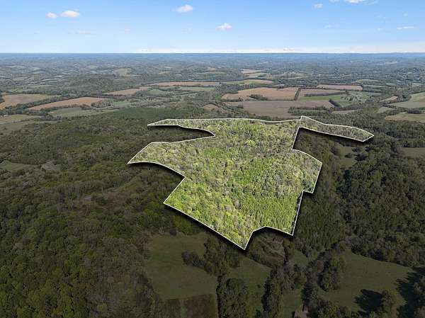 93 Acres of Recreational Land & Farm for Sale in Fayetteville, Tennessee