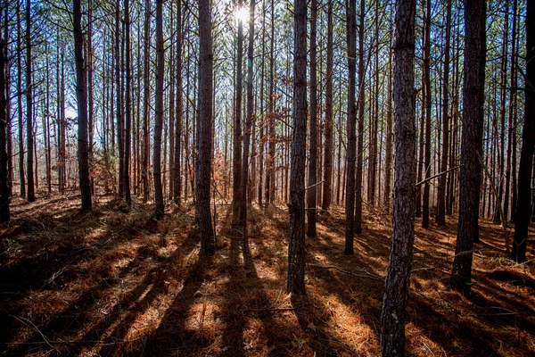 2,282 Acres of Recreational Land & Farm for Sale in Centerville, Tennessee