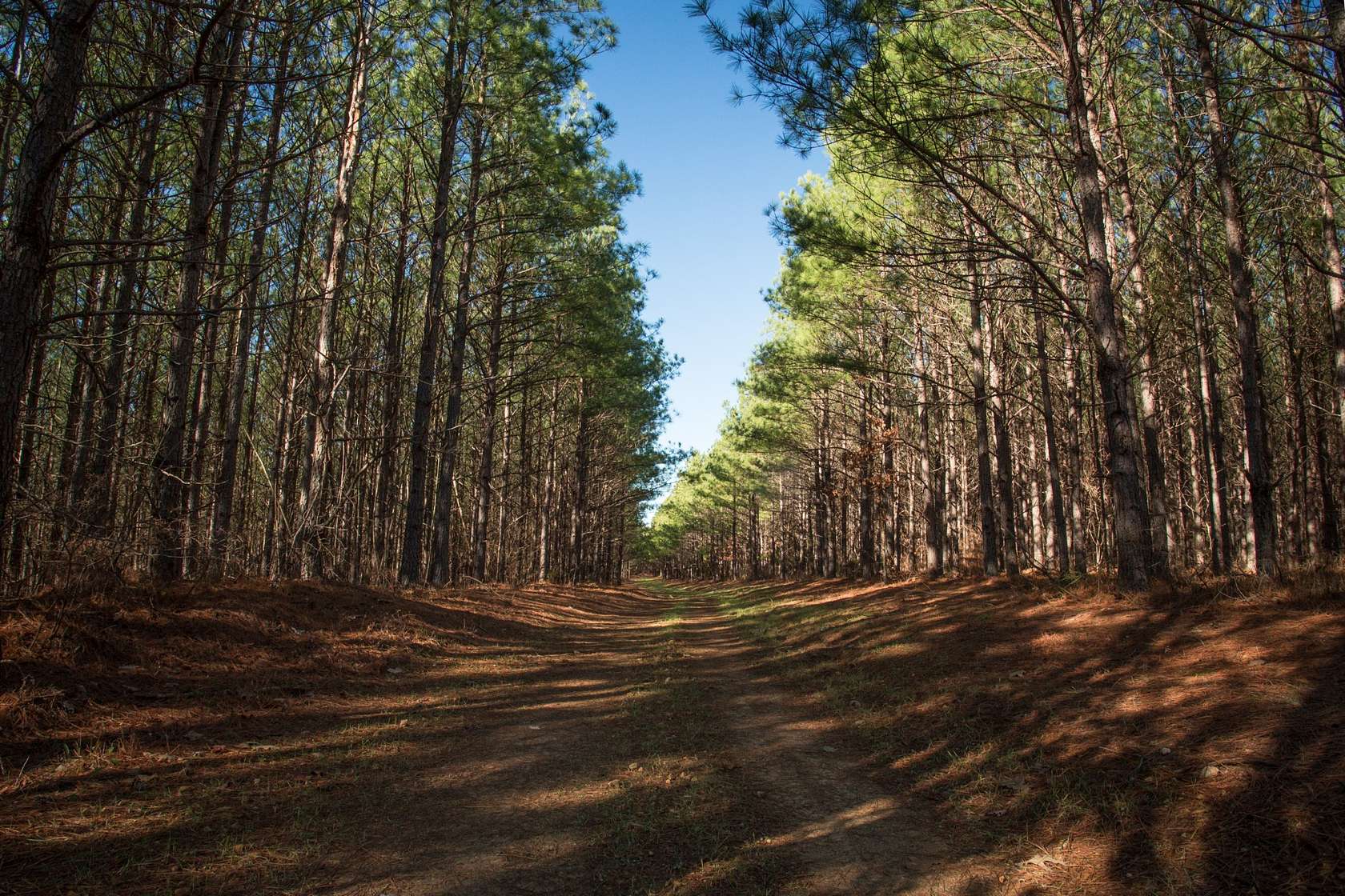 1,419 Acres of Recreational Land for Sale in Centerville, Tennessee